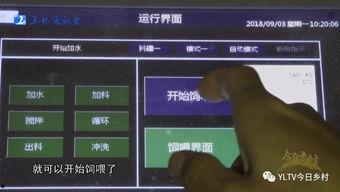 玉林爆料大全视频,揭秘视频背后的真实故事